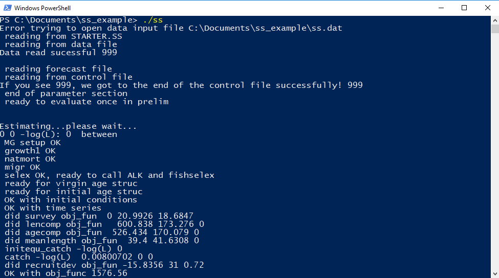 Image of command line output showing the model running including the successful read of the input files and moving past the 'Estimating...please wait...' line