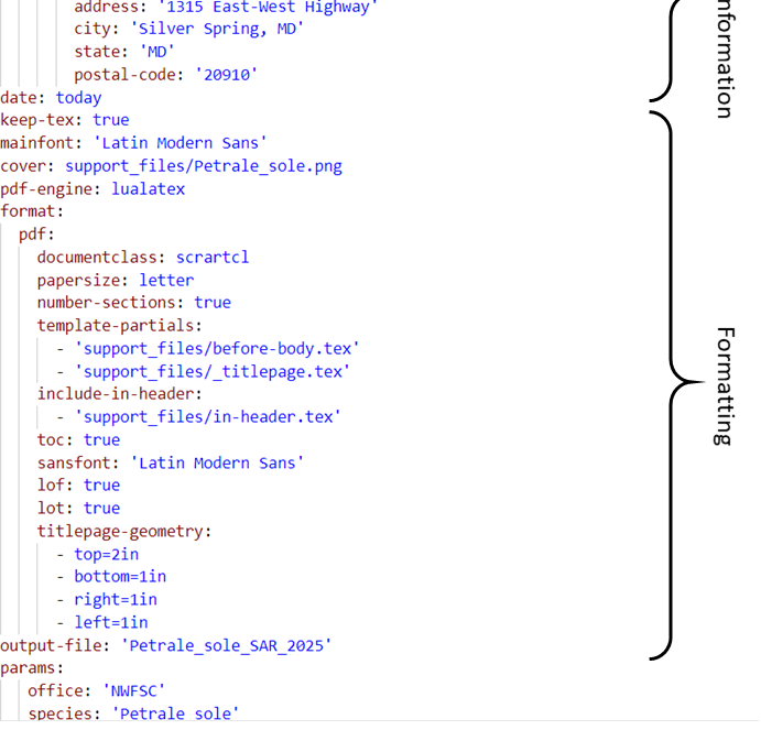 A screenshot of an example yaml, with curly brackets highlighting which code is 'information' and which code is 'formatting'.